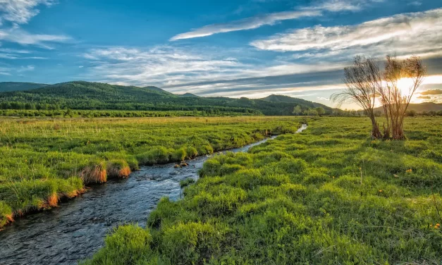 🌅 One Must Be the Origin in Order to Live as the True Origin | Master Woo Myung | Santa Clara Meditation