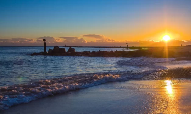 ✨ Human Completion: Becoming Truth and the Living Creator | Master Woo Myung | Santa Clara Meditation