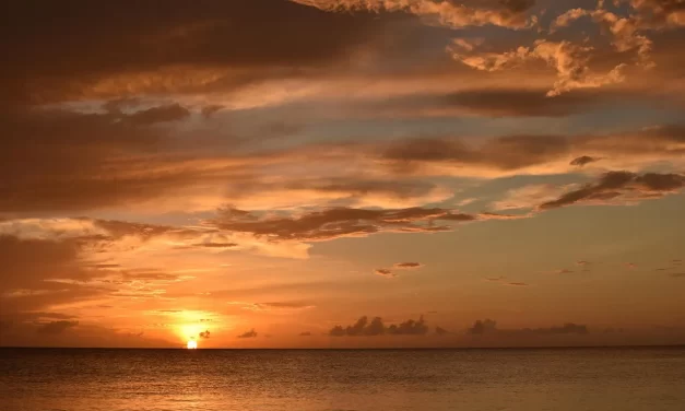 🔮 Solitude II: Returning to the One Mind Beyond Attachments | Master Woo Myung | Santa Clara Meditation