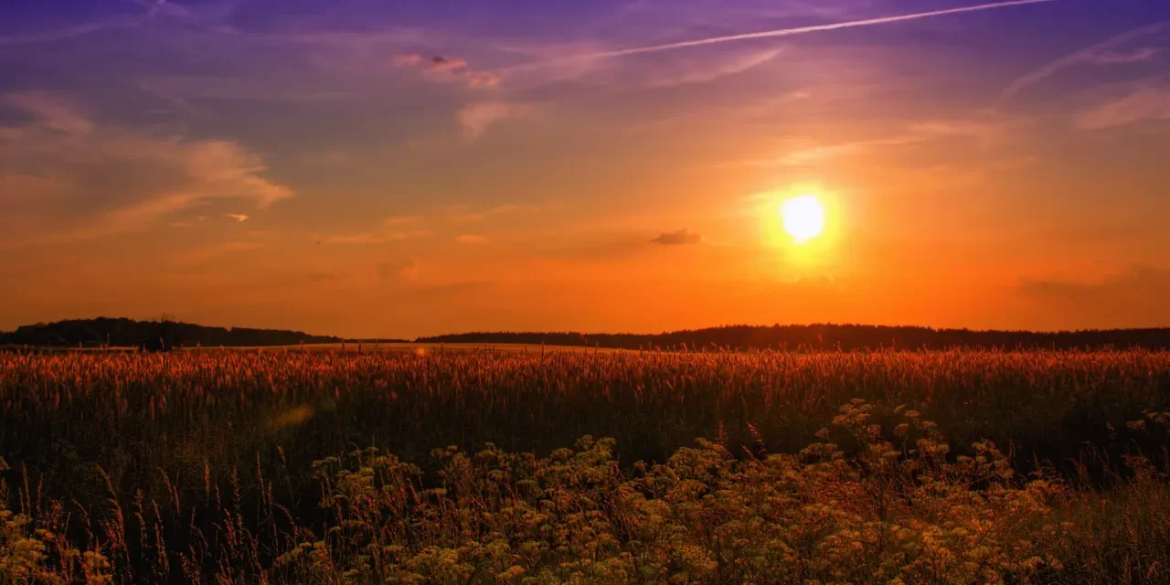 🌼 The Land of Light: The Living Kingdom of God and Truth | Master Woo Myung | Santa Clara Meditation