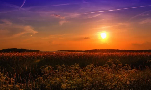 🌼 The Land of Light: The Living Kingdom of God and Truth | Master Woo Myung | Santa Clara Meditation