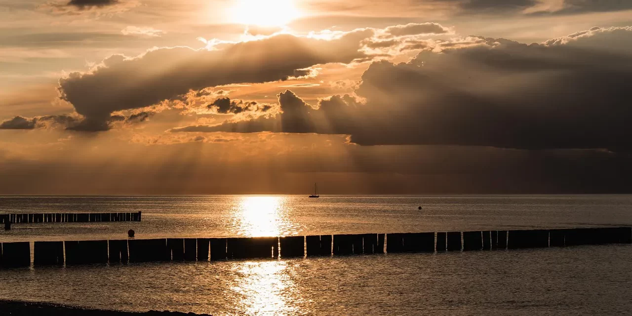 🪶 Wisdom: The One Mind Beyond Attachments and Memory | Master Woo Myung | Santa Clara Meditation