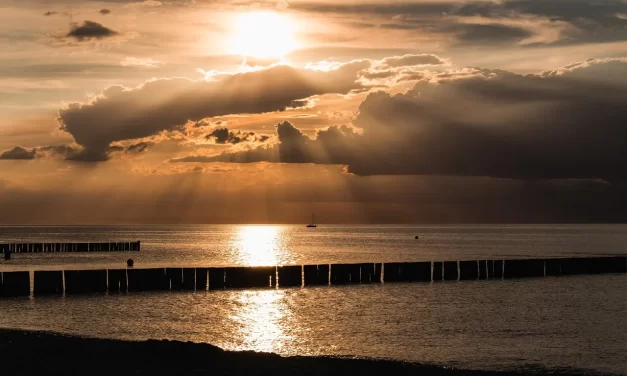 🪶 Wisdom: The One Mind Beyond Attachments and Memory | Master Woo Myung | Santa Clara Meditation