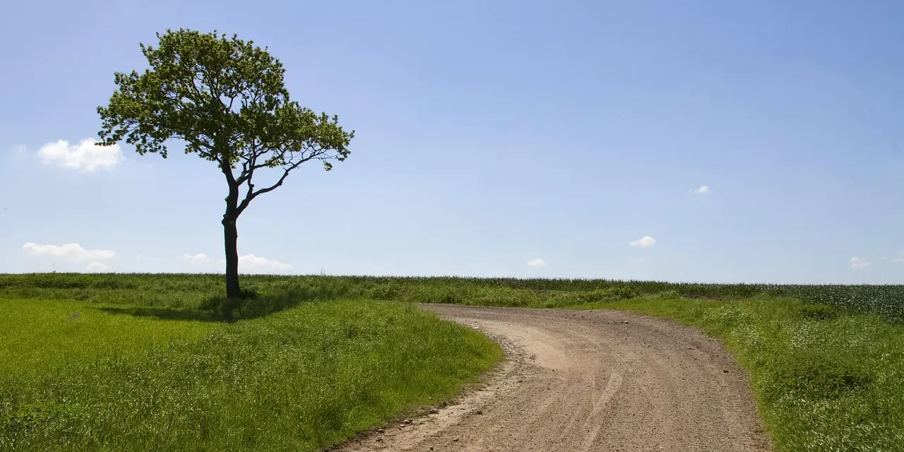 🛤️ I Am the Way, Truth, and Life: The True Meaning of Entering Heaven | Master Woo Myung | Santa Clara Meditation