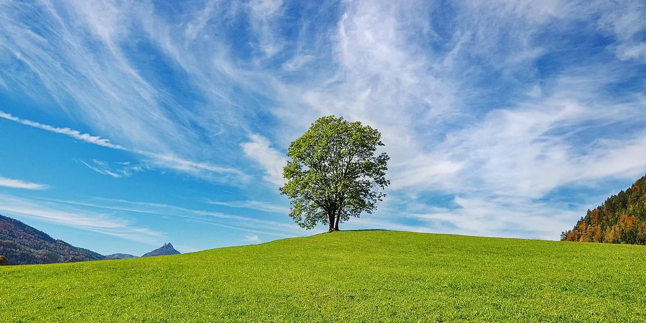 🌟 The Sole God: One Living Presence in All Creations | Master Woo Myung | Santa Clara Meditation