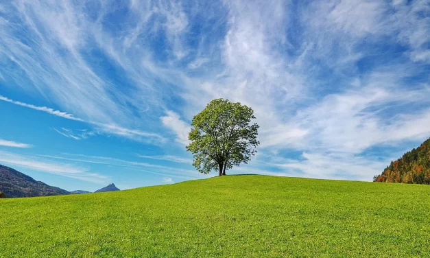 🌟 The Sole God: One Living Presence in All Creations | Master Woo Myung | Santa Clara Meditation