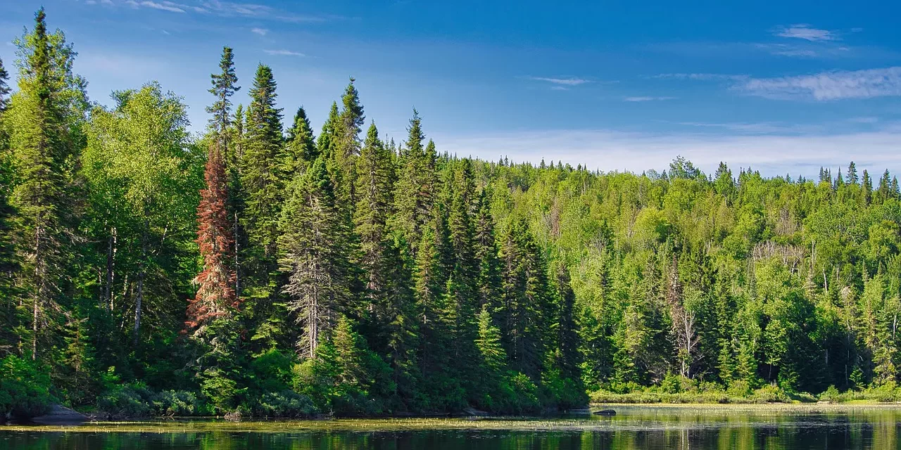 🕯️ Thoughts on Everlasting Life: Being Reborn in the Eternal Truth | Master Woo Myung | Santa Clara Meditation