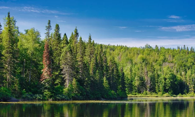 🕯️ Thoughts on Everlasting Life: Being Reborn in the Eternal Truth | Master Woo Myung | Santa Clara Meditation