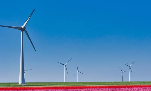 ☁️ The Way to Be Born in Heaven and Live There | Master Woo Myung | Santa Clara Meditation