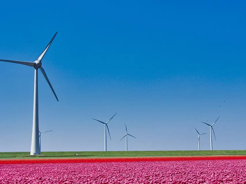 ☁️ The Way to Be Born in Heaven and Live There | Master Woo Myung | Santa Clara Meditation