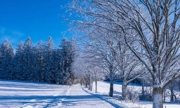 🧿 Mind IV: The Eternal Mind Beyond Life, Death, and Separation | Master Woo Myung | Santa Clara Meditation