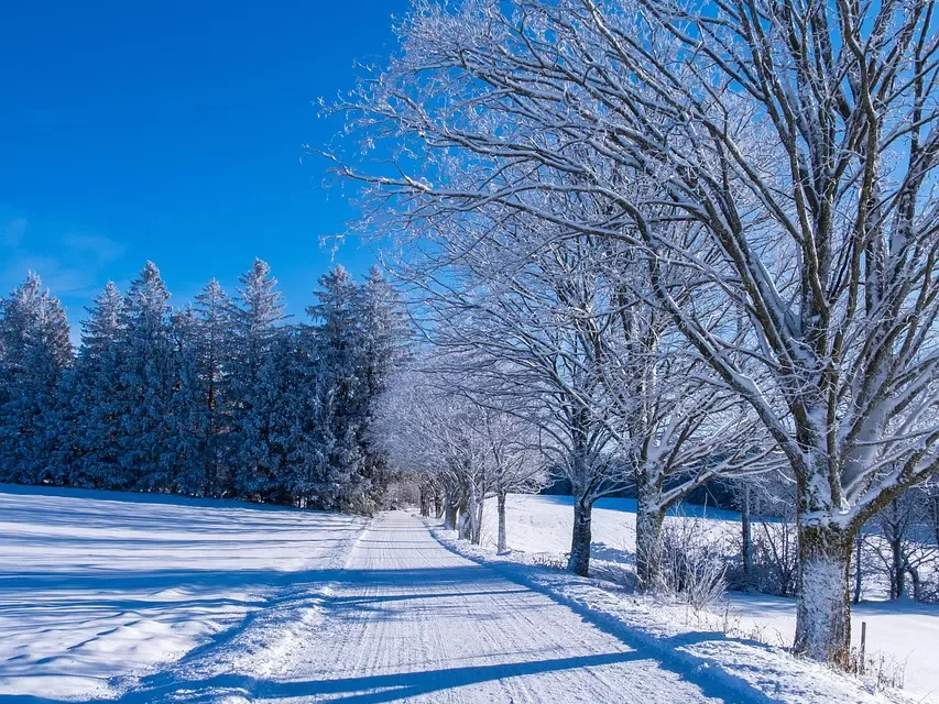 🧿 Mind IV: The Eternal Mind Beyond Life, Death, and Separation | Master Woo Myung | Santa Clara Meditation