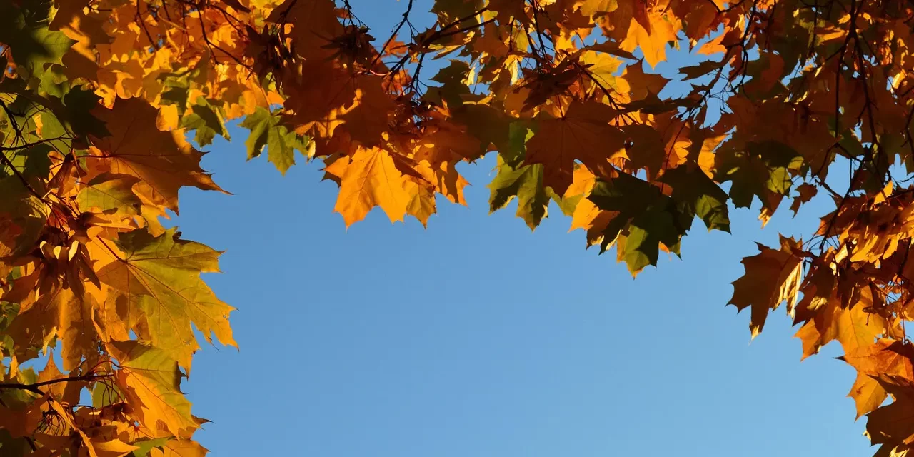 🌊 The Mind of the Origin: Living Like Water and Wind | Master Woo Myung | Santa Clara Meditation