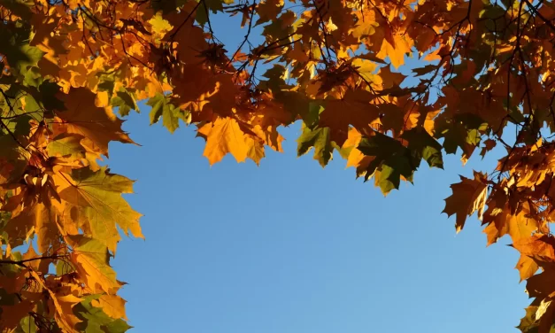 🌊 The Mind of the Origin: Living Like Water and Wind | Master Woo Myung | Santa Clara Meditation