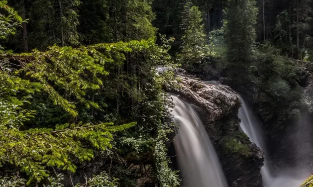 🌫️ The World of a False Dream: From Illusion to the Real World of Truth | Master Woo Myung | Santa Clara Meditation
