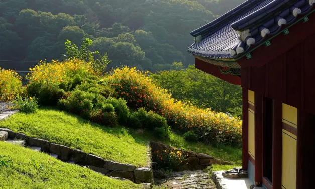 🌟 The Savior Maitreya and Jung-do-ryung: Becoming Truth While Living | Master Woo Myung | Santa Clara Meditation