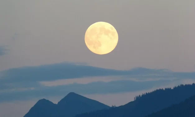 🪔 Lamp-light: Yin Yang Greatest Path Season of Truth | Master Woo Myung | Santa Clara Meditation