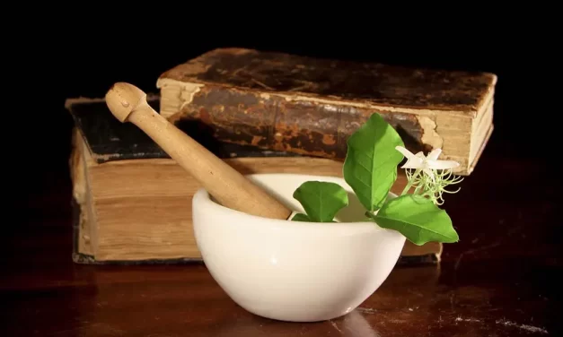 🩺 Western vs Eastern Medicine: Differences, Strengths, and the Role of the Mind | Master Woo Myung | Santa Clara Meditation