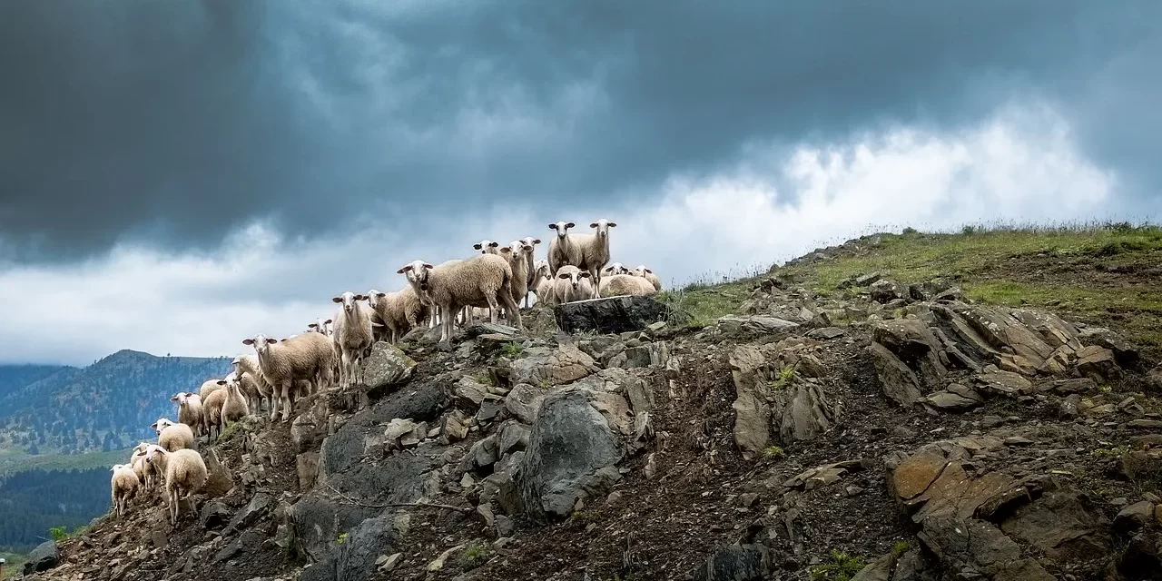 🌌 WHAT IS THE ULTIMATE PURPOSE OF RELIGION AND HOW CAN RELIGIONS BECOME ONE?: LAND OF TRUTH TRUE WORLD RELIGIONS BECOME ONE | MASTER WOO MYUNG | SANTA CLARA MEDITATION