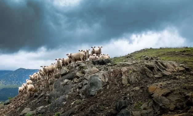 🌌 WHAT IS THE ULTIMATE PURPOSE OF RELIGION AND HOW CAN RELIGIONS BECOME ONE?: LAND OF TRUTH TRUE WORLD RELIGIONS BECOME ONE | MASTER WOO MYUNG | SANTA CLARA MEDITATION