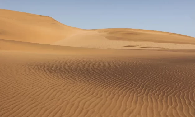 🌄 Human Life I: Meaning of Existence Truth Within Water of Life | Master Woo Myung | Santa Clara Meditation