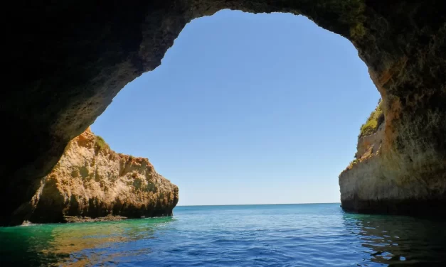 🌈 Let’s Be Born into and Live in the World: Rebirth Land of Truth Eternal Life Salvation | Master Woo Myung | Santa Clara Meditation