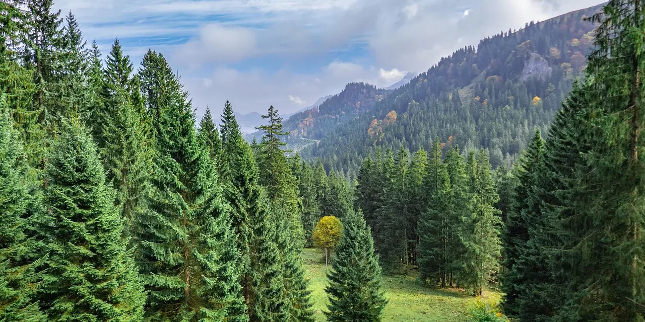 🌤️ One Who Is Born on Earth Lives on Earth, One Who Is Born in Heaven Lives in Heaven: Rebirth Kingdom of Heaven Living Soul Spirit Truth | Master Woo Myung | Santa Clara Meditation