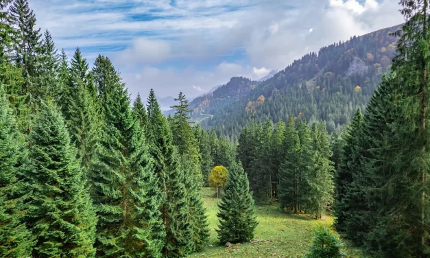 🌤️ One Who Is Born on Earth Lives on Earth, One Who Is Born in Heaven Lives in Heaven: Rebirth Kingdom of Heaven Living Soul Spirit Truth | Master Woo Myung | Santa Clara Meditation