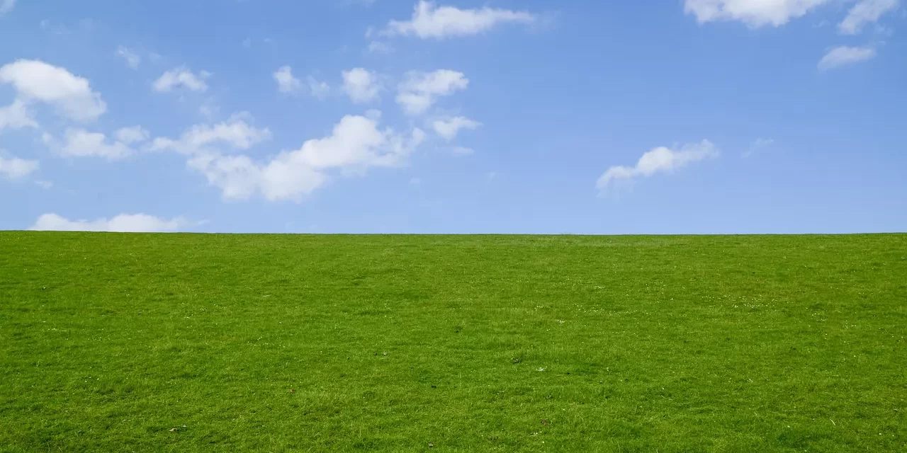 ⚖️ What Is Moderation? Between Existence and Non-Existence | Master Woo Myung | Santa Clara Meditation