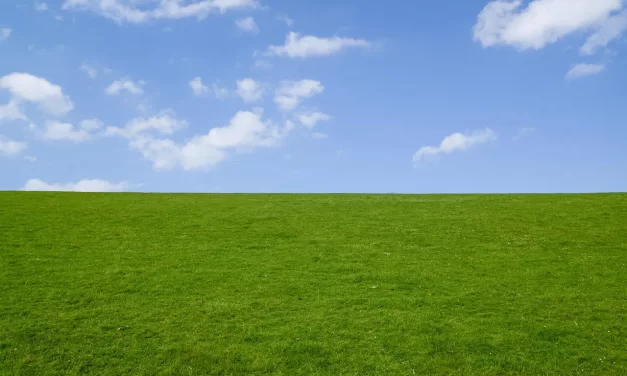 ⚖️ What Is Moderation? Between Existence and Non-Existence | Master Woo Myung | Santa Clara Meditation