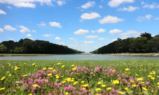 🌈 Why People Cannot Enter Heaven Within: God Buddha Allah and the True World | Master Woo Myung | Santa Clara Meditation