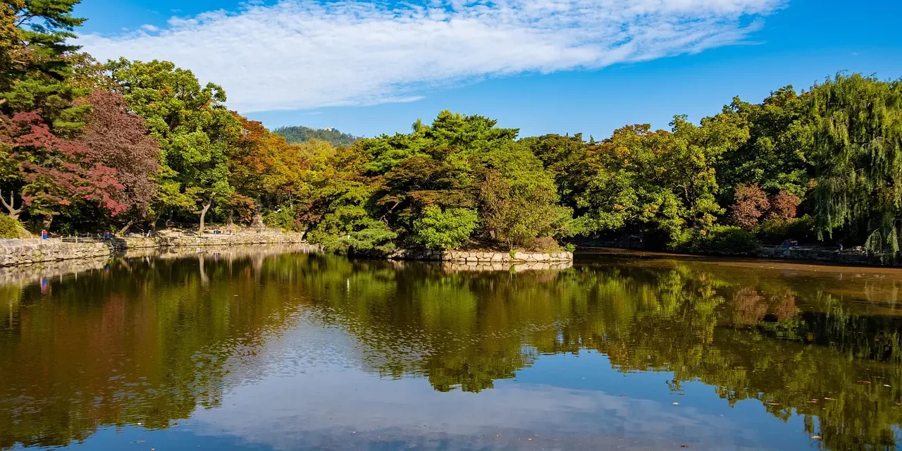 🌸 Spring, Summer, Fall and Winter: Four Seasons Nature Human Life Unity of Mankind | Master Woo Myung | Santa Clara Meditation