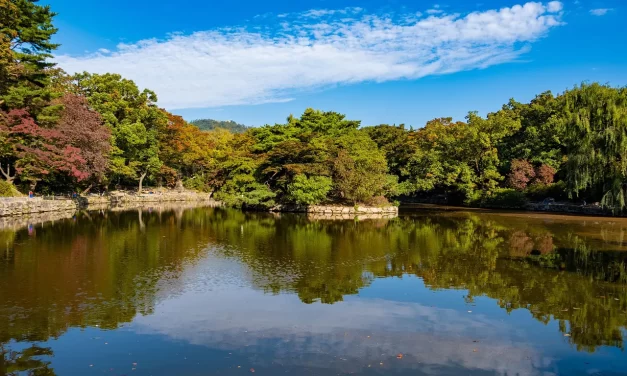 🌸 Spring, Summer, Fall and Winter: Four Seasons Nature Human Life Unity of Mankind | Master Woo Myung | Santa Clara Meditation