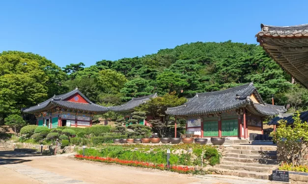 ☁️ Man Would Not Know Even If Truth Came or Left | Master Woo Myung | Santa Clara Meditation