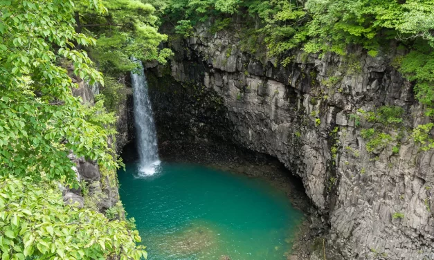 🧩 The Reason Humans Are Incomplete and Nonexistent: Mind World and True World | Master Woo Myung | Santa Clara Meditation