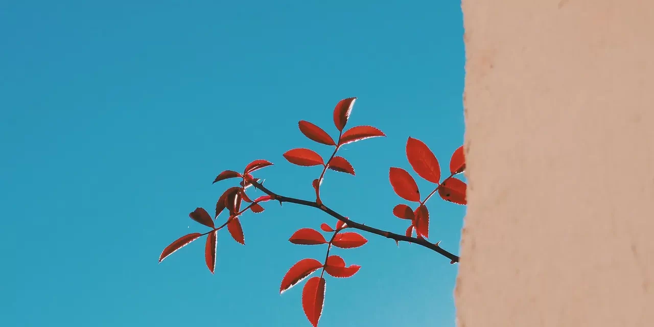 🔄 Changing One’s Mind: From the Individual to the Whole | Master Woo Myung | Santa Clara Meditation