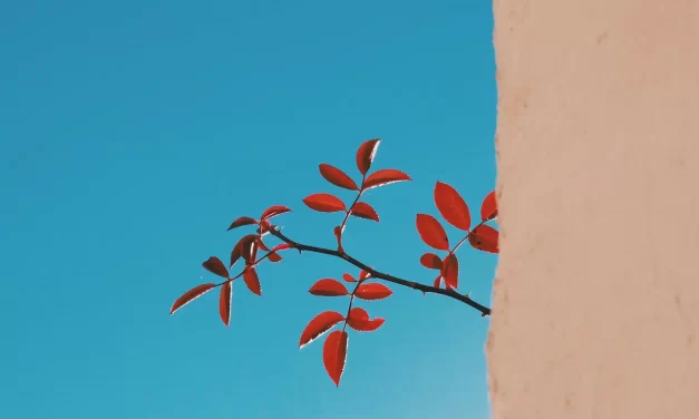 🔄 Changing One’s Mind: From the Individual to the Whole | Master Woo Myung | Santa Clara Meditation