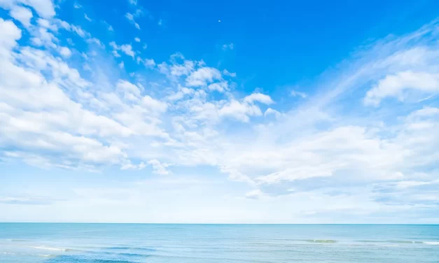 🌅 One’s Life After Becoming Real: Freedom Liberation and the Origin | Master Woo Myung | Santa Clara Meditation