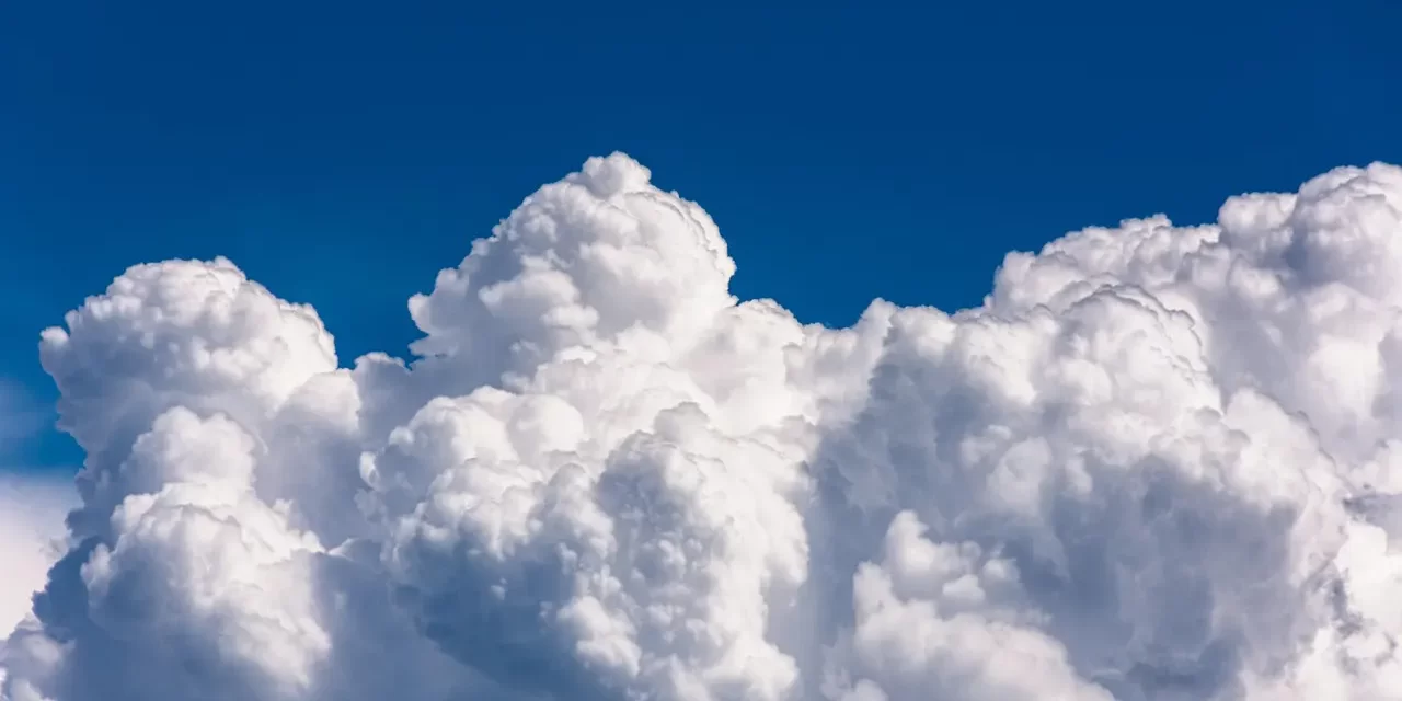 🌿 A Sage: Sage Person of Truth No Self Non-Discrimination Inner Truth | Master Woo Myung | Santa Clara Meditation