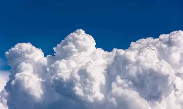 🌿 A Sage: Sage Person of Truth No Self Non-Discrimination Inner Truth | Master Woo Myung | Santa Clara Meditation