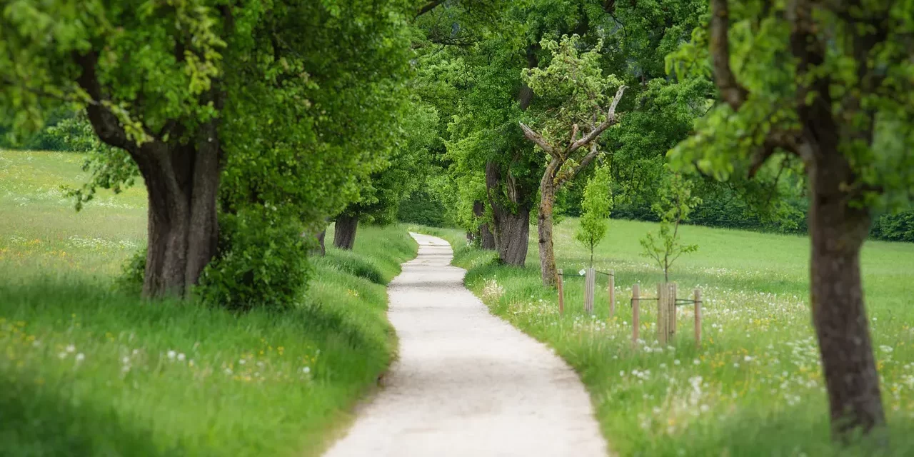 🌅 What Is Salvation?: Salvation False World Land of Truth Rebirth Heaven Paradise | Master Woo Myung | Santa Clara Meditation