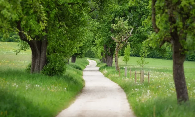 🌅 What Is Salvation?: Salvation False World Land of Truth Rebirth Heaven Paradise | Master Woo Myung | Santa Clara Meditation