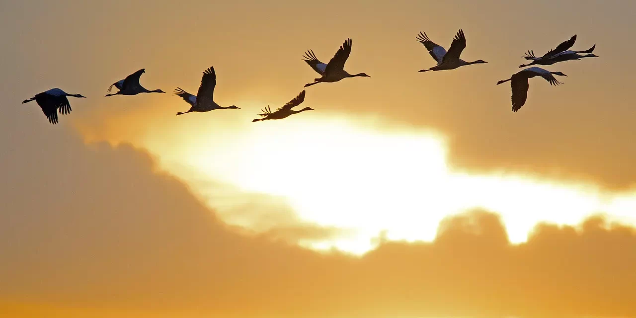 🕊️ Faith in the Mind and Confession by the Mouth: Righteousness and Salvation | Master Woo Myung | Santa Clara Meditation