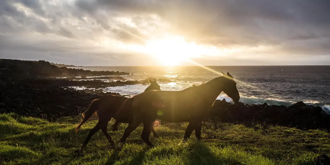 💖 You Must Love Your Enemies in Order to Be Truth: Repentance and Becoming the Body and Mind of the Creator | Master Woo Myung | Santa Clara Meditation