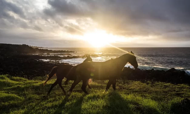 💖 You Must Love Your Enemies in Order to Be Truth: Repentance and Becoming the Body and Mind of the Creator | Master Woo Myung | Santa Clara Meditation