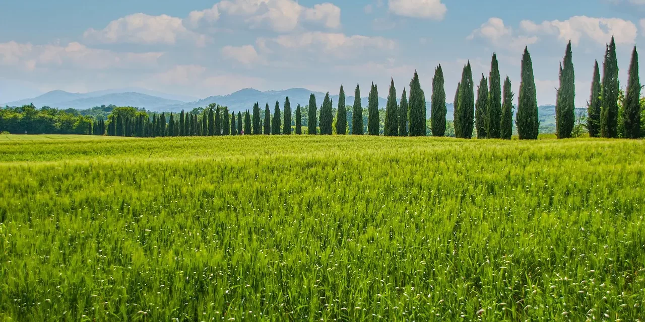 🌌 IT IS THE ERA FOR THE WORLD TO BE COMPLETE: LAND OF TRUTH COMPLETION OF THE WORLD TRUE WORLD | MASTER WOO MYUNG | SANTA CLARA MEDITATION