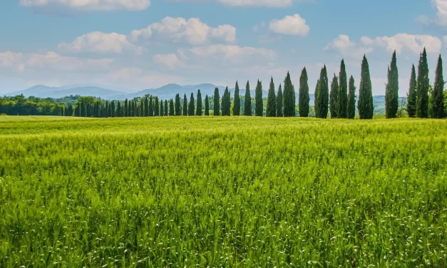 🌌 IT IS THE ERA FOR THE WORLD TO BE COMPLETE: LAND OF TRUTH COMPLETION OF THE WORLD TRUE WORLD | MASTER WOO MYUNG | SANTA CLARA MEDITATION