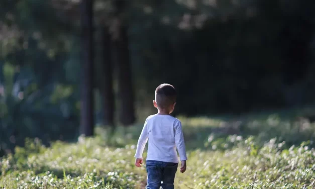 🌿 Original Instinct: Living Without Illusion and Returning to Complete Truth | Master Woo Myung | Santa Clara Meditation