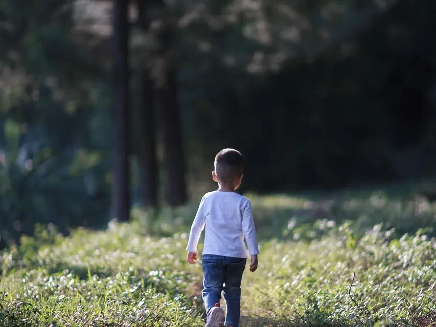 🌿 Original Instinct: Living Without Illusion and Returning to Complete Truth | Master Woo Myung | Santa Clara Meditation