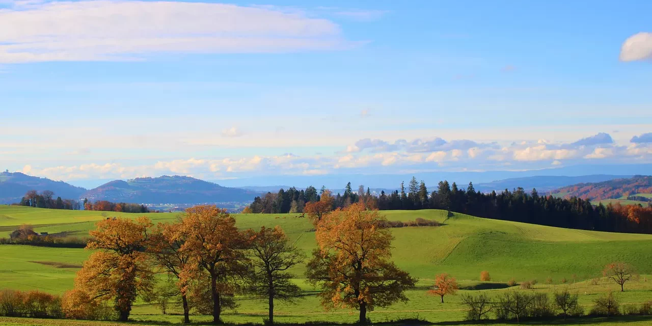 ✨ Savior: Becoming Truth Repentance Absolution Heaven Explained | Master Woo Myung | Santa Clara Meditation